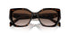 2AU6S1 - Havana - Brown Gradient