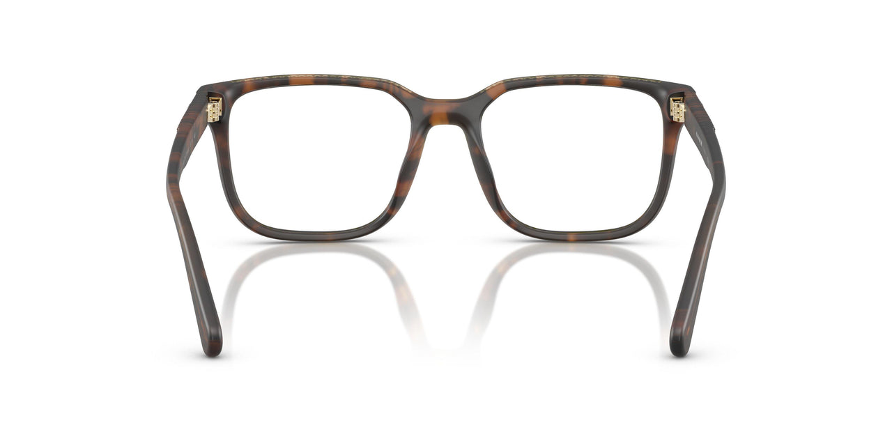 5120 - Tortoise