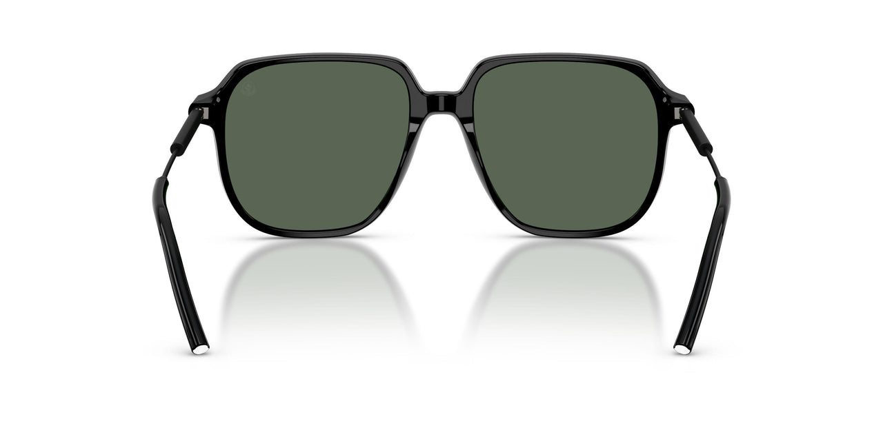 300171 - Black - Dark Green Solid