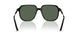 300171 - Black - Dark Green Solid