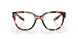 905103 - Tortoise