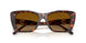 40319P - Tortoise - Brown Gradient Polar