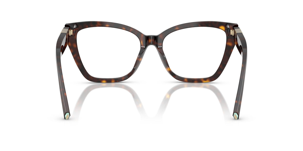 8015 - Tortoise