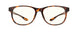 02309 - Tortoise - Clear Neutral-Focus