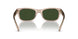 615571 - Brown - Green Solid