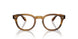 1579 - Brown