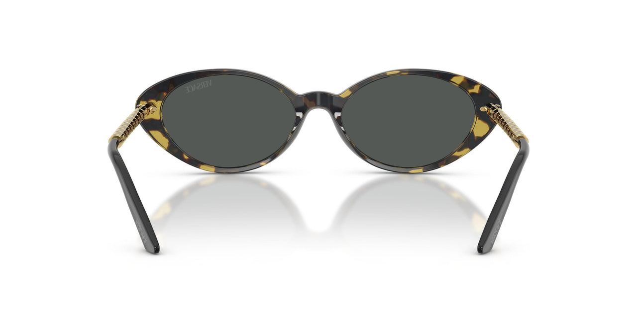 547087 - Tortoise - Dark Grey