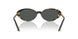 547087 - Tortoise - Dark Grey