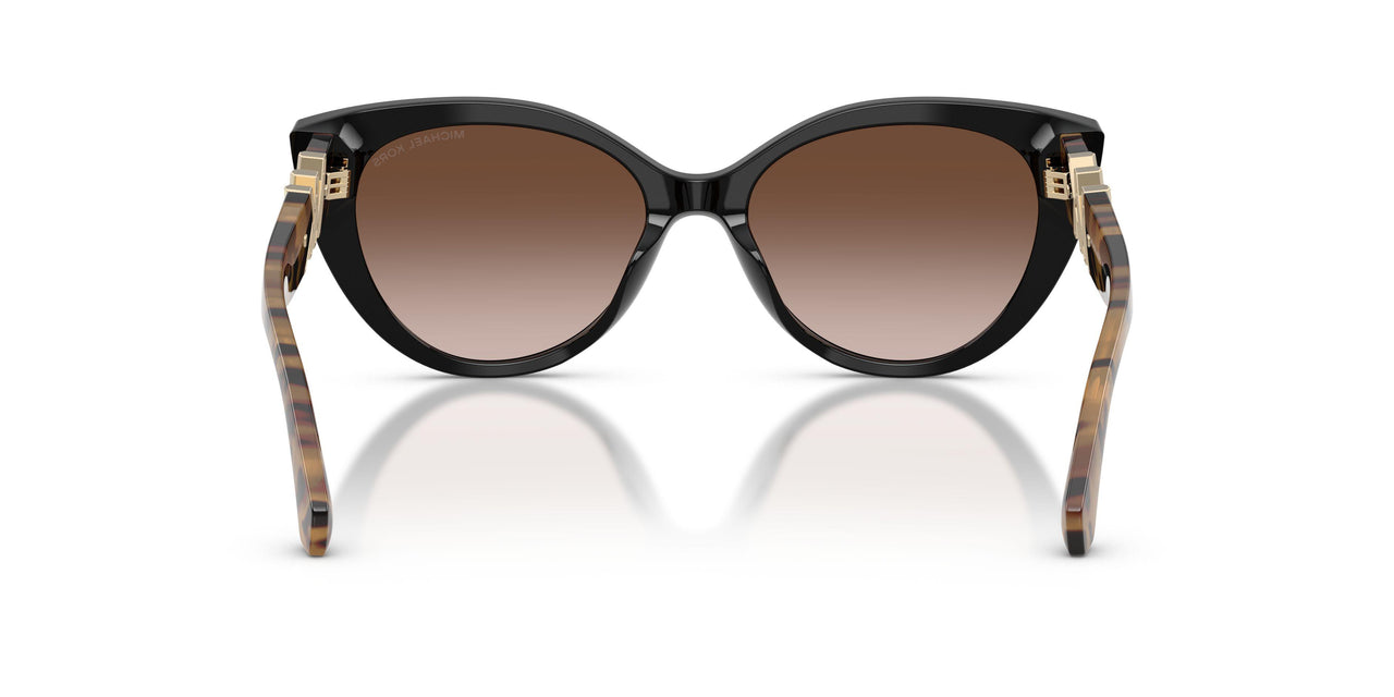 300513 - Black - Brown Gradient