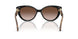 300513 - Black - Brown Gradient