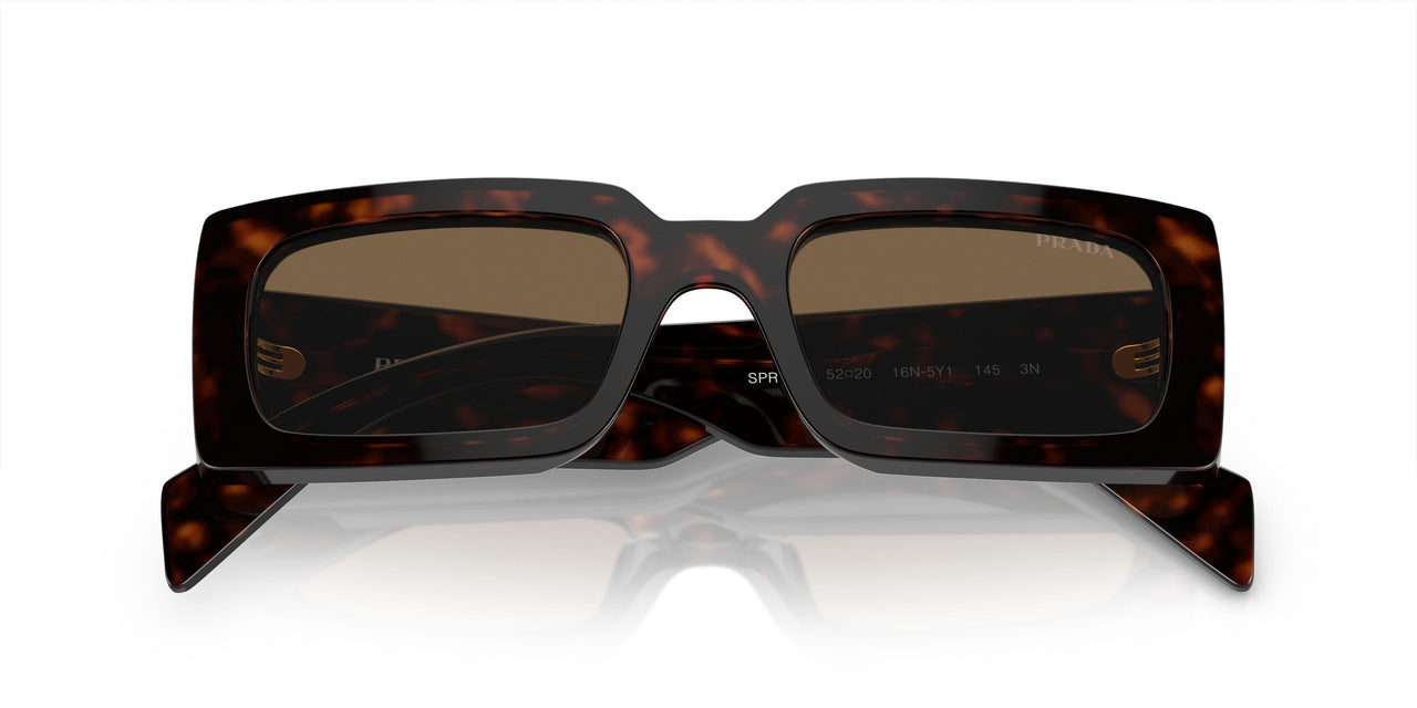 16N5Y1 - Brown - Dark Brown Polarized