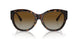 702/T5 - Tortoise - Brown Gradient Polar