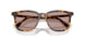 14L20I - Tortoise - Light Purple Brown