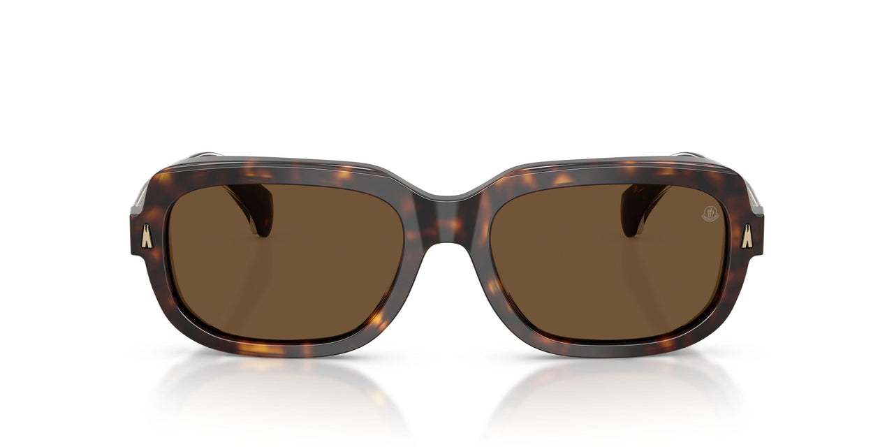 300273 - Tortoise - Brown Solid