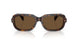 300273 - Tortoise - Brown Solid