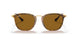 710 - Havana - Brown