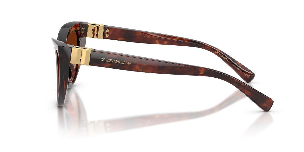 322274 - Red - Brown Gradient