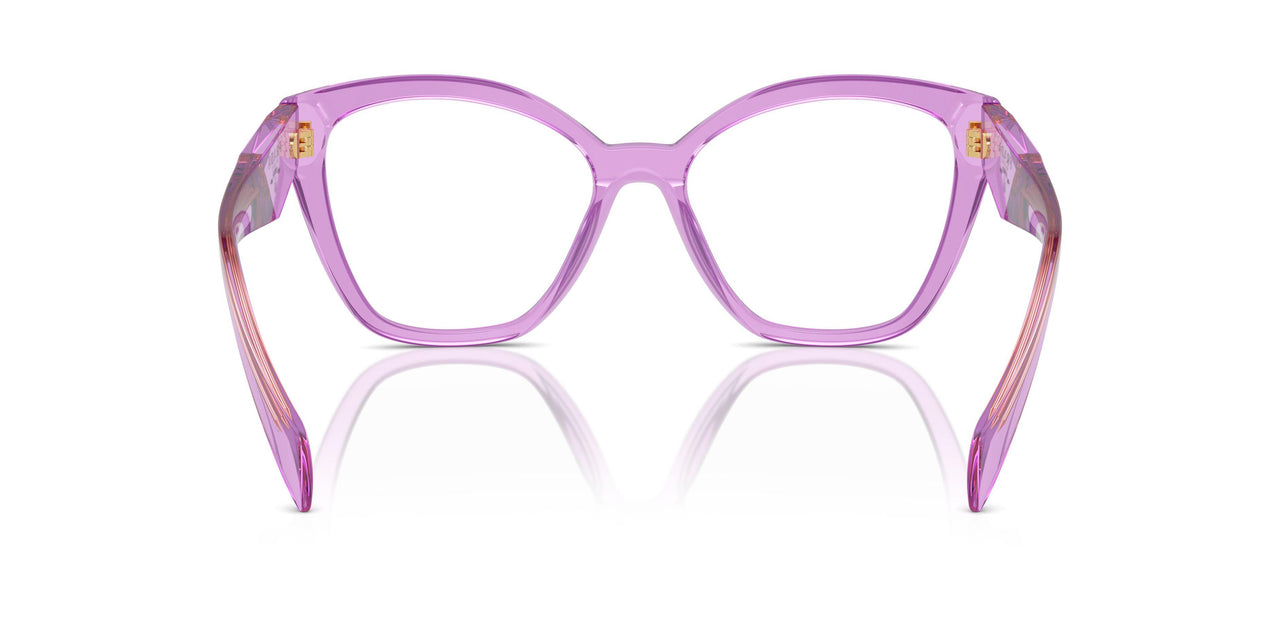 13R1O1 - Violet
