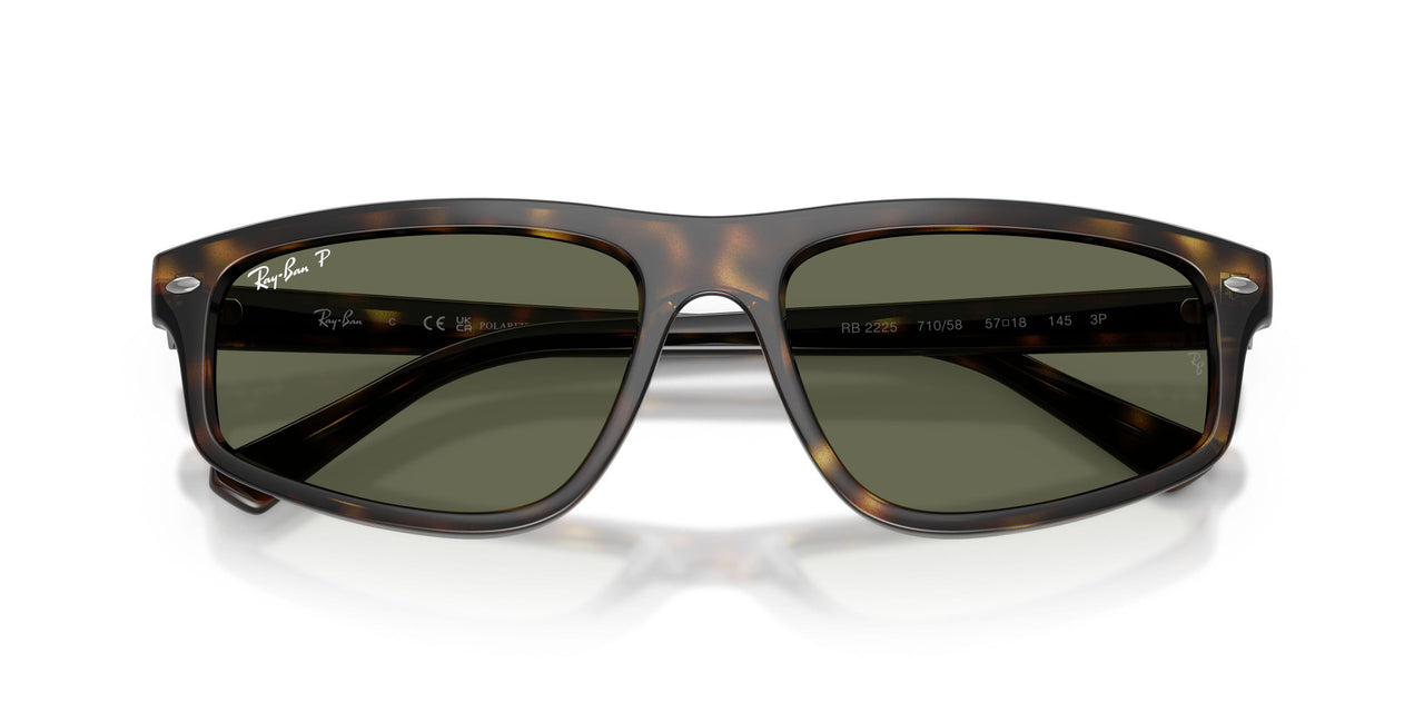 710/58 - Tortoise - Green Polar