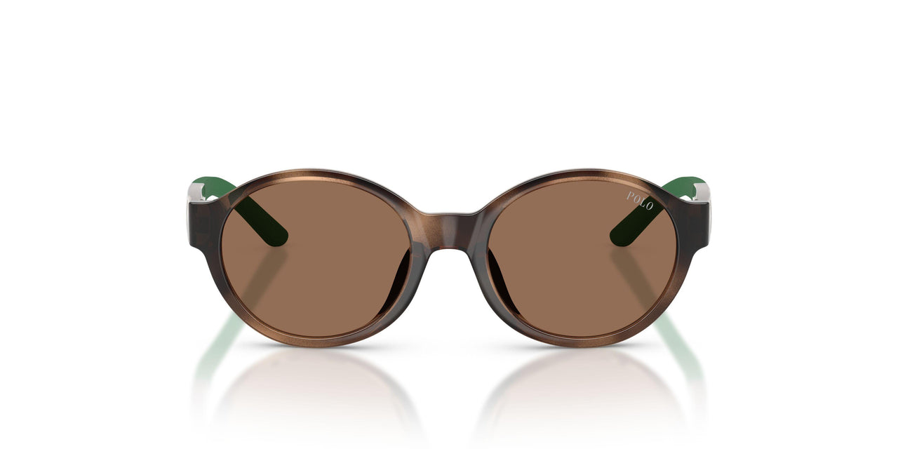 500373 - Tortoise - Dark Brown