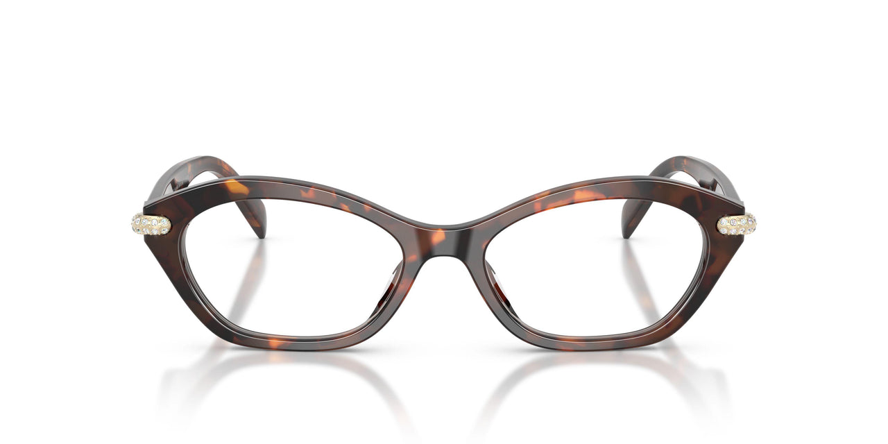 4031 - Tortoise