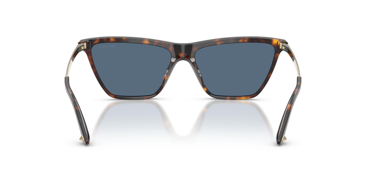 500280 - Tortoise - Dark Blue