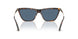 500280 - Tortoise - Dark Blue