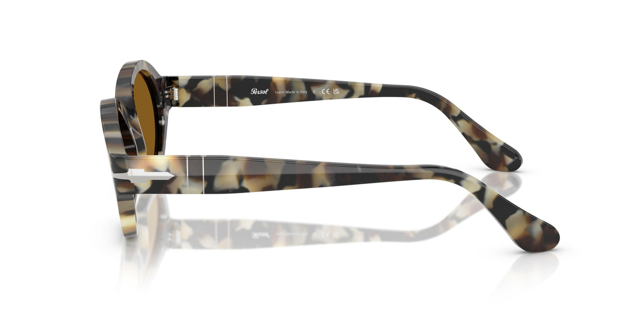 107133 - Tortoise - Brown