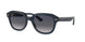 Ray-Ban Erik 4398F Sunglasses