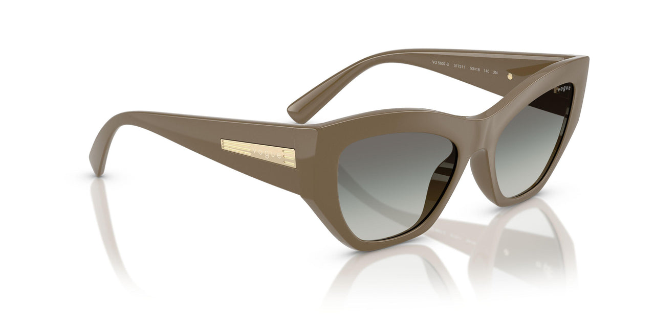317511 - Brown - Gradient Dark Grey
