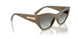 317511 - Brown - Gradient Dark Grey