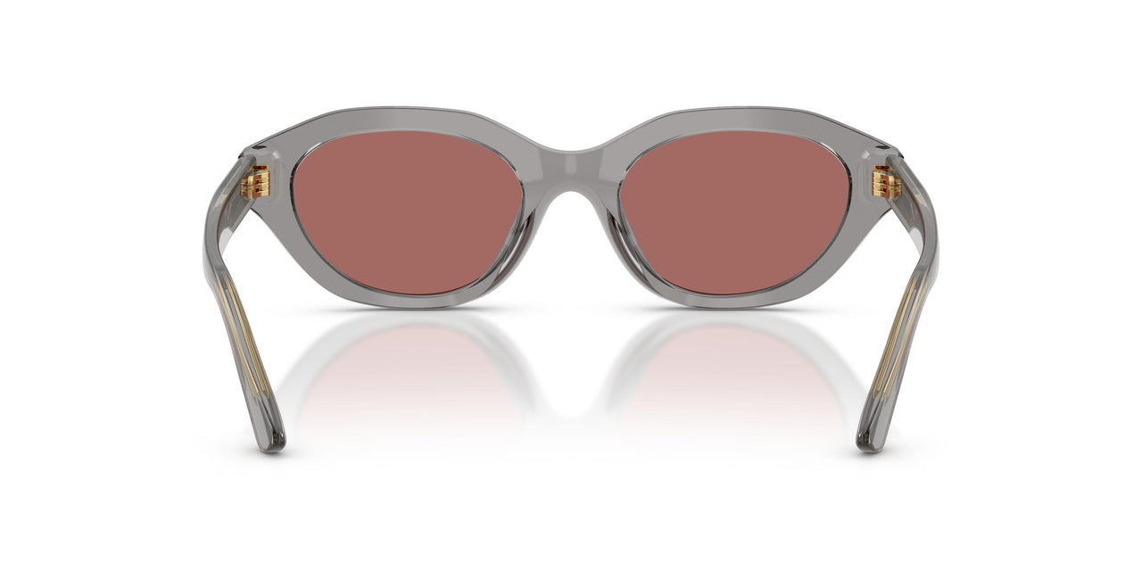 631869 - Grey - Dark Violet