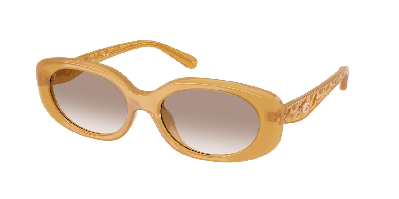 Coach Cby84 8443D Sunglasses