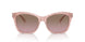 615314 - Pink - Brown Rose