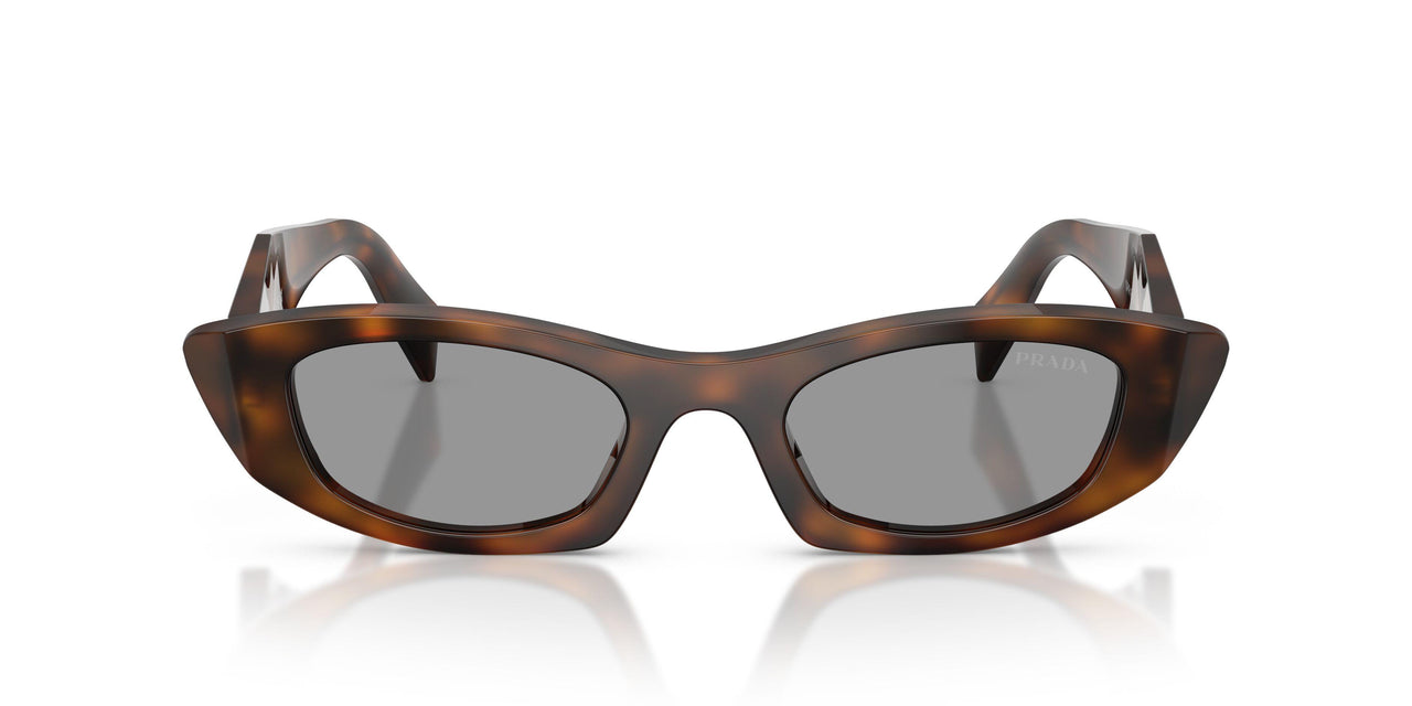 20D50Q - Havana - Grey