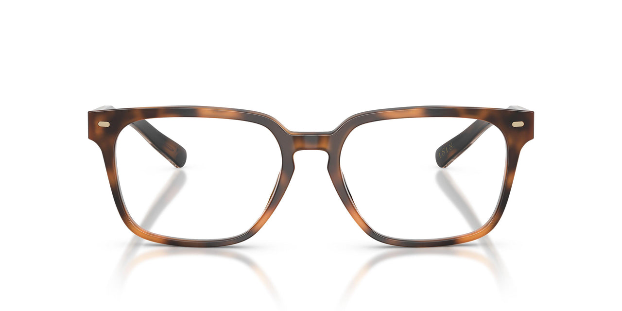 6161 - Tortoise