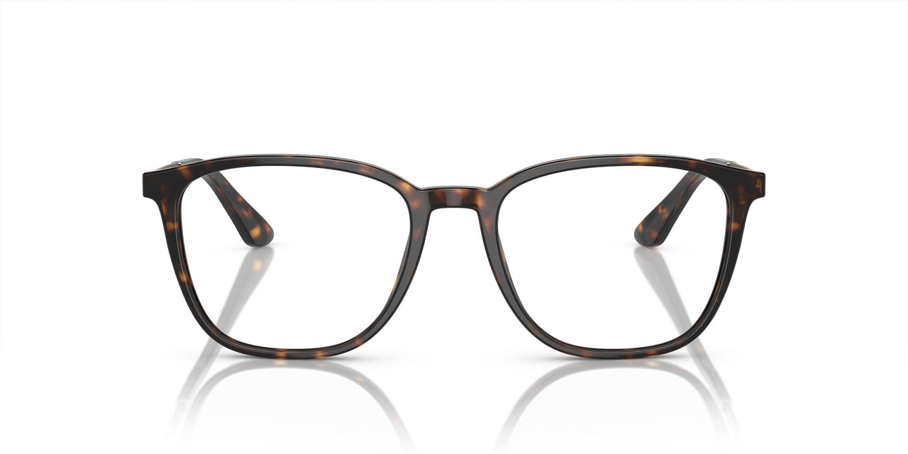 5026 - Tortoise