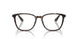 5026 - Tortoise