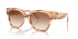 617913 - Brown - Gradient Brown