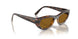 271883 - Brown - Dark Brown Polar