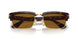 24/33 - Tortoise - Brown