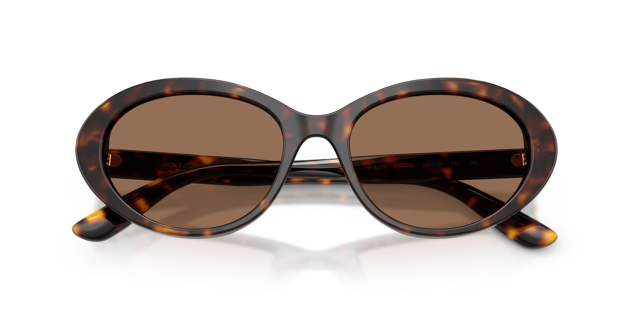 502/73 - Tortoise - Dark Brown