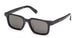 ZEGNA 0280F Sunglasses