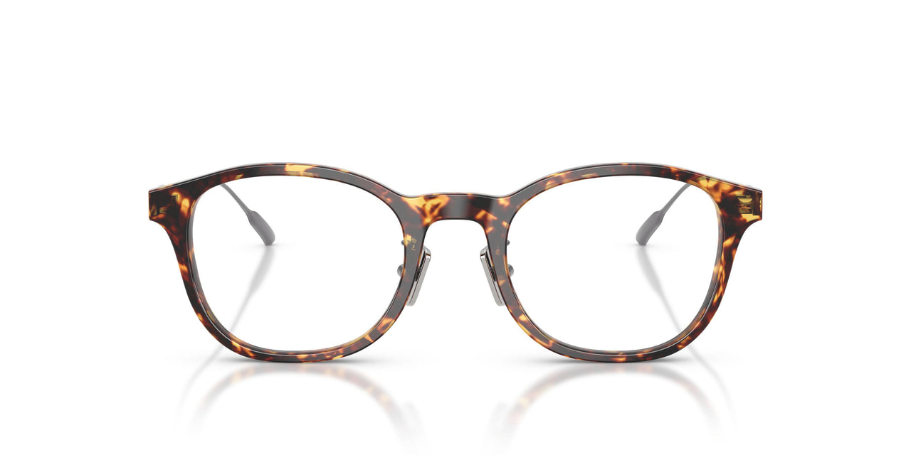 3038 - Tortoise