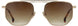 STATE Optical Co. WASHINGTON Sunglasses