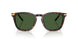 500371 - Brown - Bottle Green