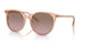 295414 - Orange - Violet Gradient Brown