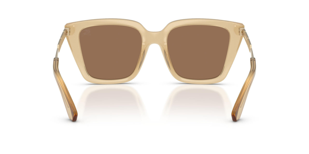 419873 - Yellow - Dark Brown