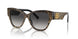 31638G - Brown - Grey Gradient