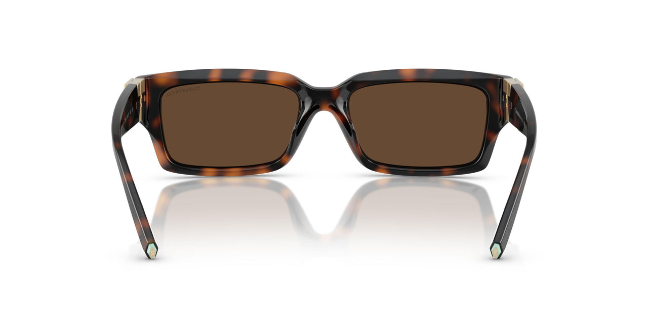 80153G - Tortoise - Light Brown